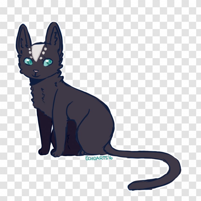 Whiskers Korat Kitten Black Cat Domestic Short-haired Transparent PNG