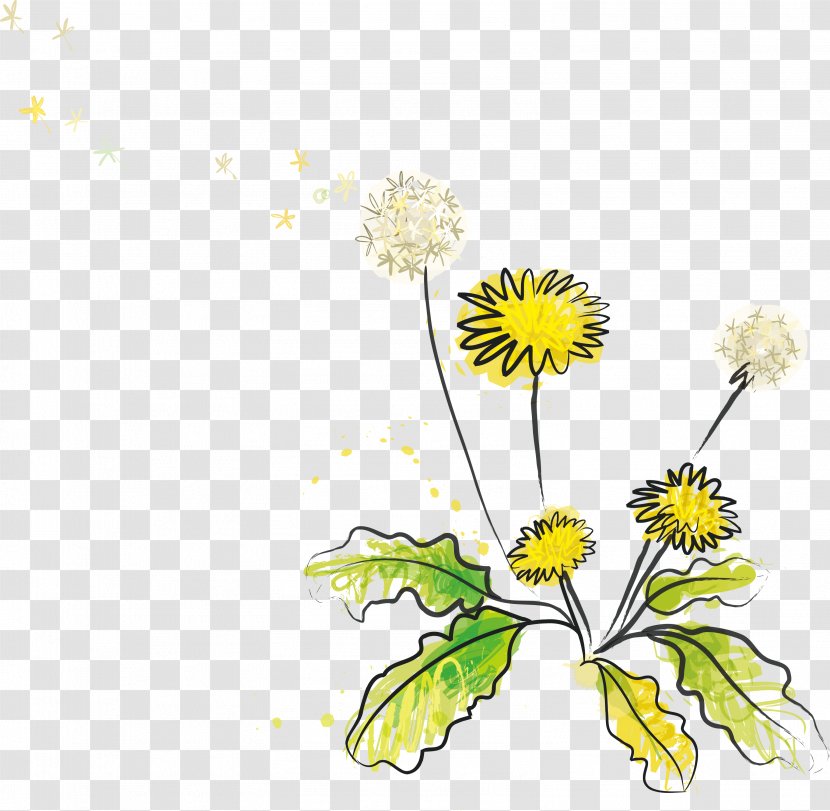Euclidean Vector Dandelion Illustration - Yellow - Wildflower Material Transparent PNG