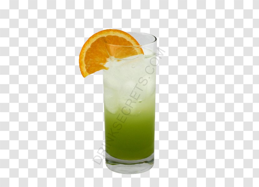 Cocktail Garnish Sea Breeze Mai Tai Limeade Harvey Wallbanger - Orange Drink - Green Transparent PNG