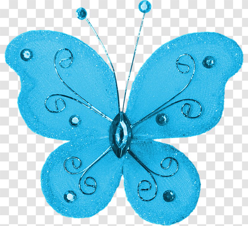 Butterfly Cartoon - Wing - Ornament Transparent PNG