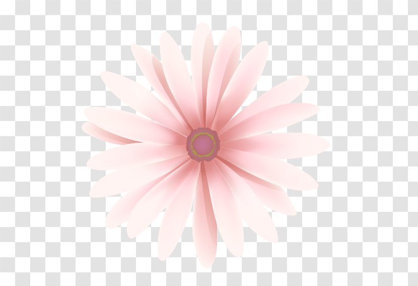 Petal Pink Close-up Pattern - Gerbera Transparent PNG