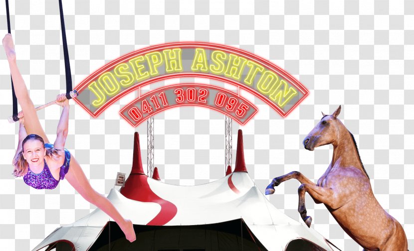 Circus Joseph Ashton Actor Clown Horse - Snout - Carnival Theme Transparent PNG