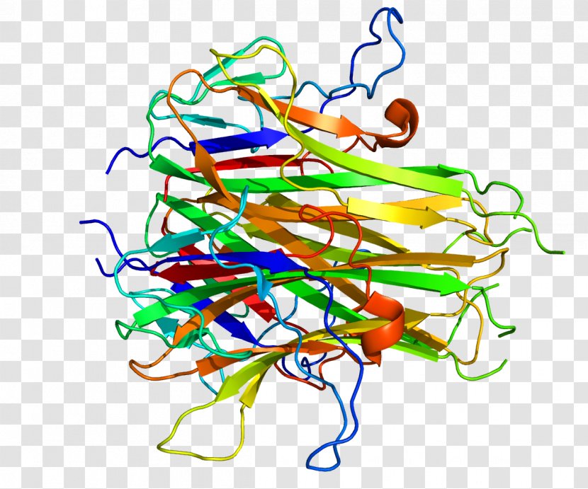 Vascular Endothelial Growth Inhibitor Tumor Necrosis Factor Superfamily Death Receptor 3 Protein - Flower - Watercolor Transparent PNG