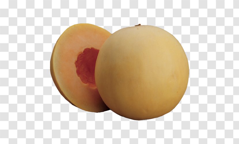 Honeydew Food Cantaloupe Melon - Orange - Hami Transparent PNG
