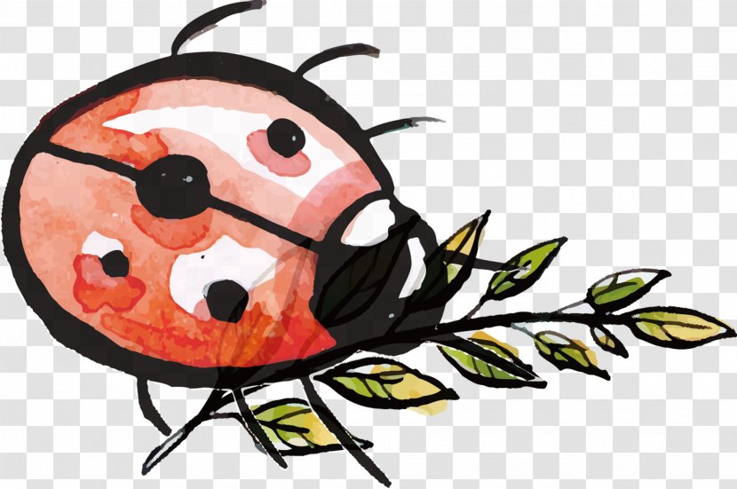 Ladybird Insect Watercolor Painting - Ink - Seven Lady Ladybug Transparent PNG