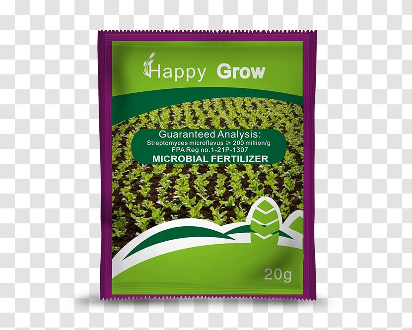 Superfood Brand Herb - Herbal Transparent PNG