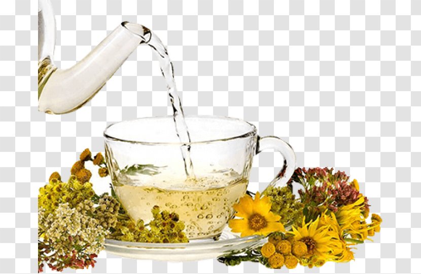 Flowering Tea Vegetarian Cuisine Orange Blossom عرقیات - Rose Water Transparent PNG
