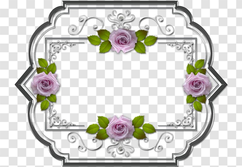 Quran Al-Falaq Surah Tafsir Al-Baqara - Rose - Flower Box Transparent PNG