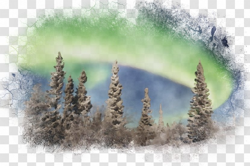 Desktop Wallpaper Stock Photography Computer Winter - Pine Family - Natural Landscape Transparent PNG