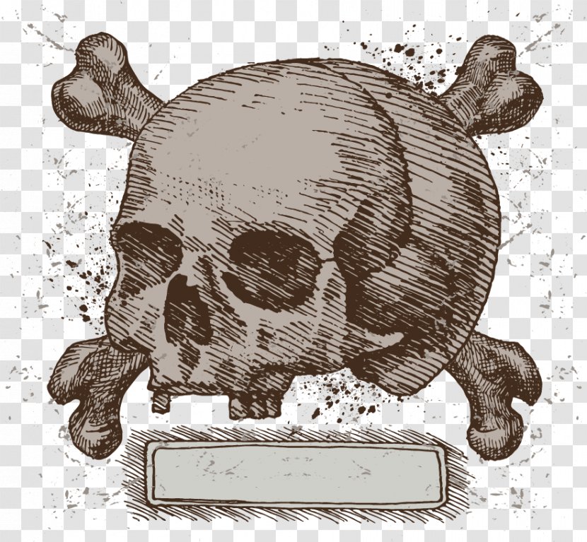 U9ab7u9ac5 Illustration - Fauna - Vector Hand-painted Skull Input Box Transparent PNG