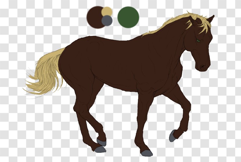 Stallion Mare Pony Mustang Foal - Horse - Crowd Cheering Transparent PNG