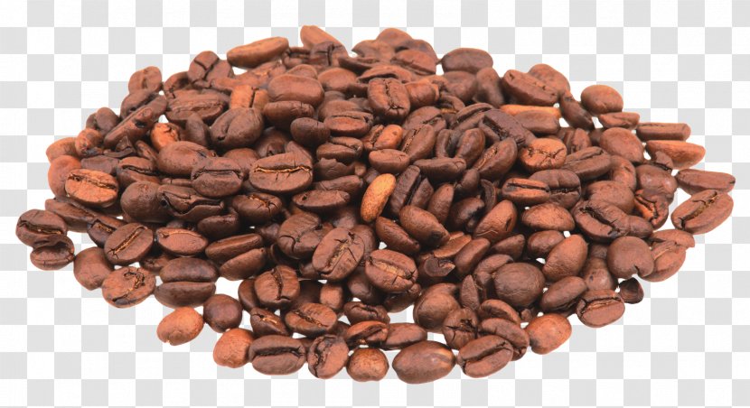 Coffee Bean Espresso Cappuccino Cafe - Roasting - Beans Clipart Transparent PNG