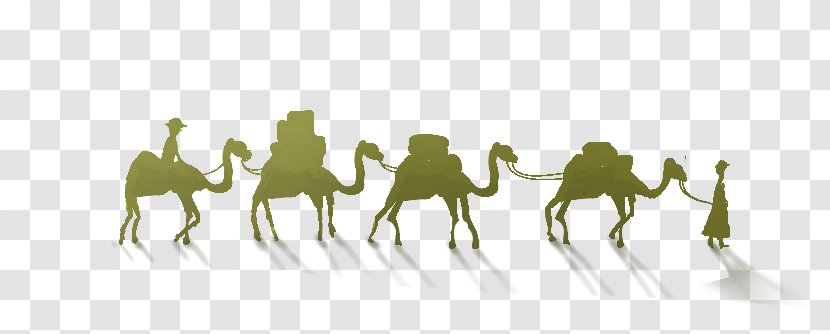 Camel One Belt Road Initiative Maritime Silk Horse - Cute Cartoon Transparent PNG