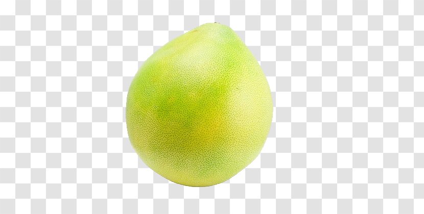 Key Lime Sweet Lemon Persian - Grapefruit Transparent PNG