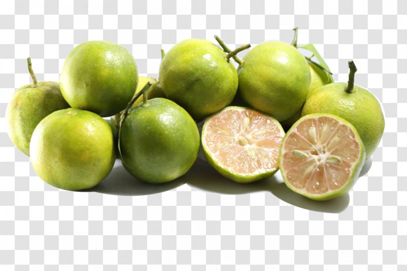 Key Lime Persian Sweet Lemon Lemonade - Vegetarian Cuisine Transparent PNG