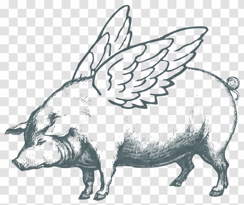 Pig Cartoon - Blackandwhite - Animal Figure Transparent PNG