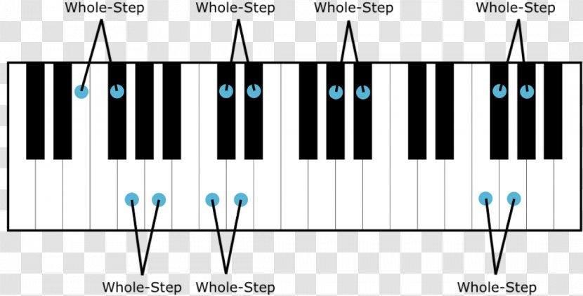 Musical Keyboard Semitone Piano Whole Tone Scale - Heart - Key Transparent PNG
