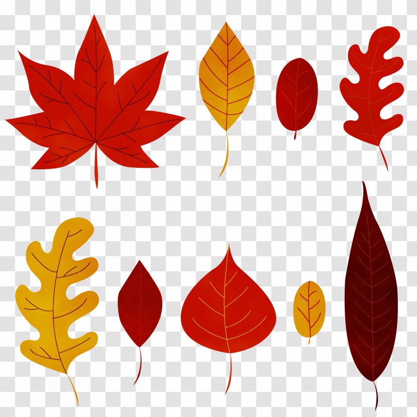 Plane - Red - Deciduous Transparent PNG