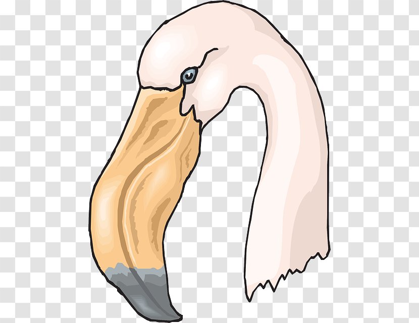 Drawing Flamingo Bird Clip Art - Watercolor Transparent PNG