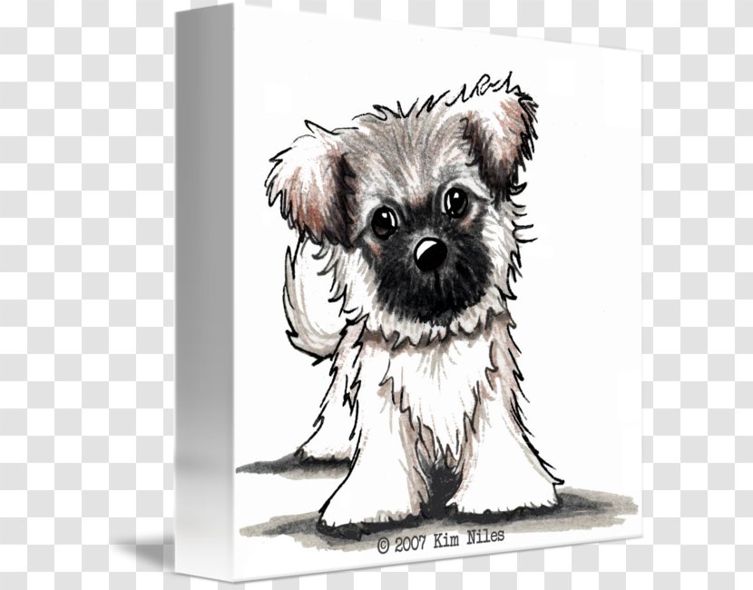 Imagekind Affenpinscher Schnoodle Shih Tzu Canvas - Toy Dog - Puppy Transparent PNG