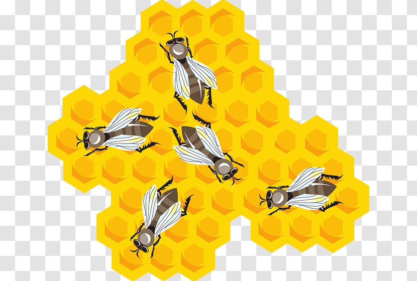 Beehive Honeycomb Clip Art - Honey Bee - Comb Transparent PNG