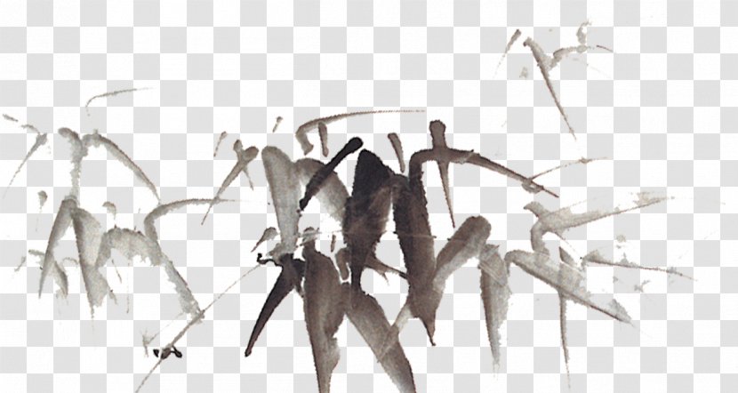 Bamboo Chinoiserie Ink Wash Painting - Leaves Transparent PNG