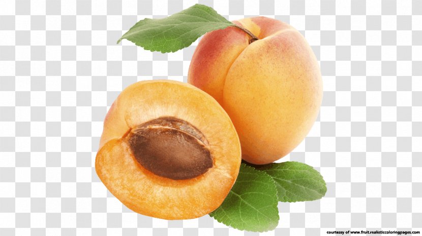 Apricot Fruit Battenberg Cake Food Clip Art - Natural Foods Transparent PNG