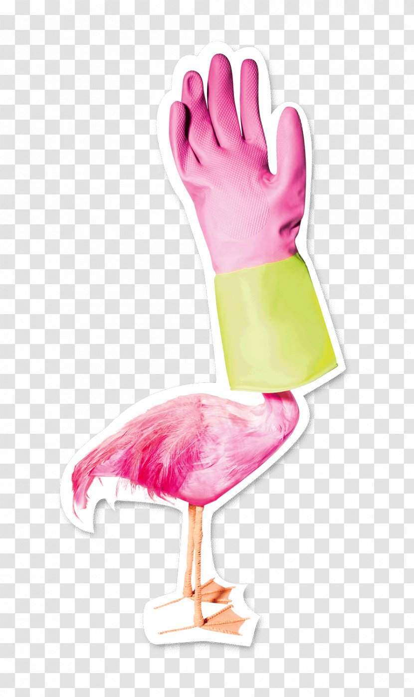 Thumb Bird Clip Art - Hand Transparent PNG