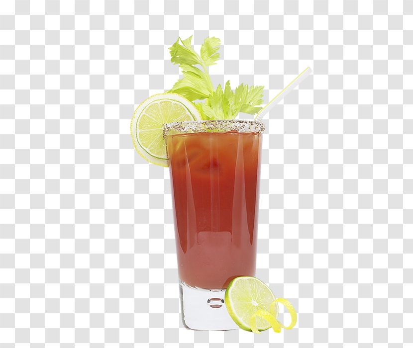 Juice Fasting Long Island Iced Tea Cocktail Bay Breeze - Flower Transparent PNG