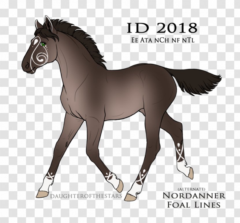 Digital Art Pony Foal Horse - Mustang Transparent PNG