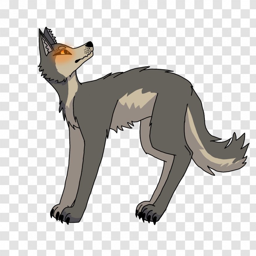 Coyote Canidae Animal Dog Wildlife - Tumblr Transparent PNG