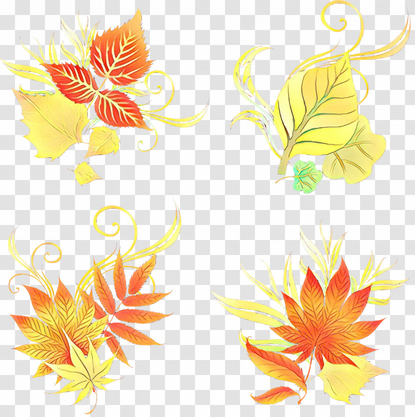 Floral Design Transparent PNG