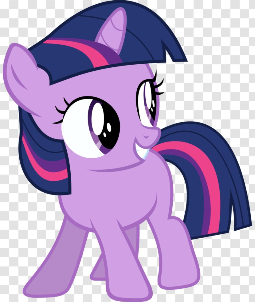 Twilight Sparkle Pony Horse Princess Cadance Pinkie Pie - Silhouette Transparent PNG
