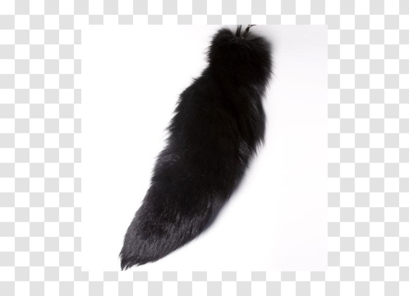 Fur Tail Black M - Dog Like Mammal Transparent PNG