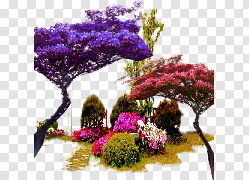 Color Garden Trees In Kind - Houseplant Transparent PNG