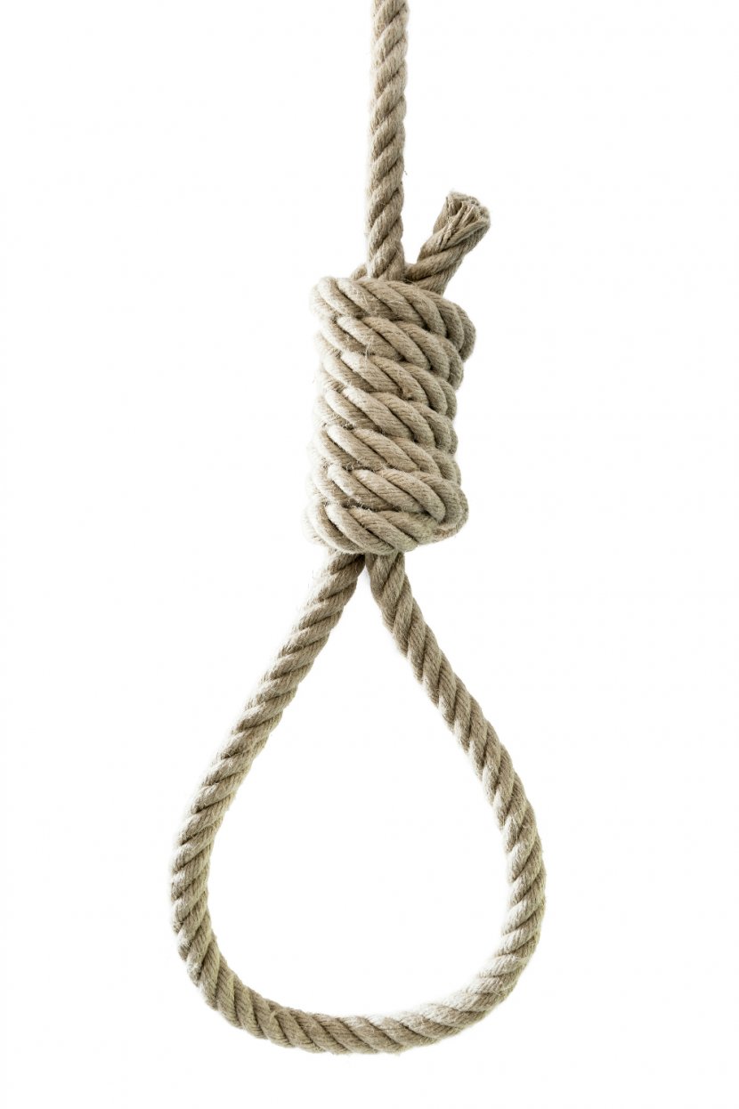 Noose Hangman's Knot Rope Suicide - Twine Transparent PNG