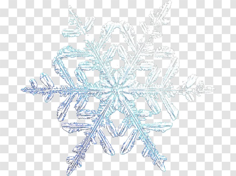 Snowflake Symmetry Line Pattern Transparent PNG