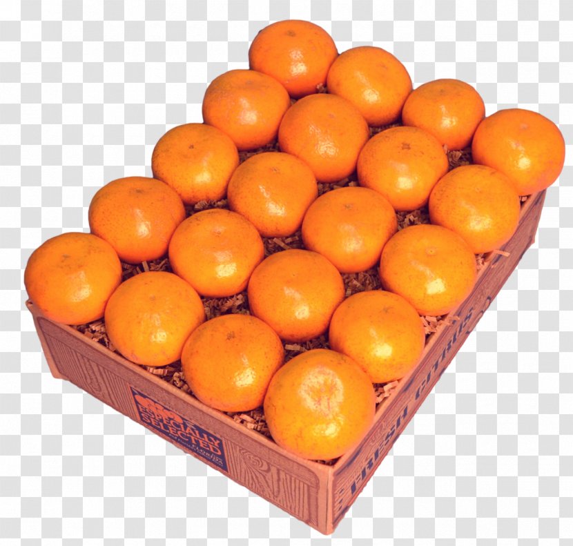 Tangerine Mandarin Orange Clementine Tangelo Transparent PNG