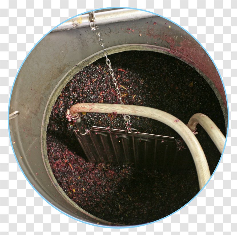 Red Wine Must Fermentation Winemaking - Vinaccia Transparent PNG