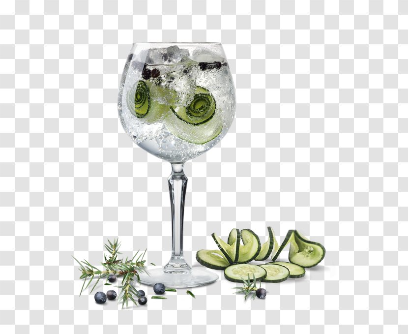 Gin And Tonic Cocktail Garnish Vodka - Vana Tallinn - Coctail Transparent PNG