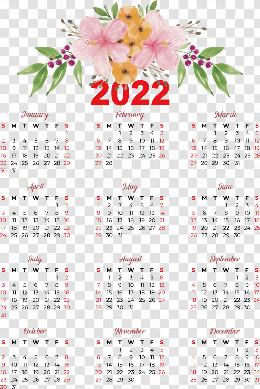 Calendar Meter Plant Biology Science Transparent PNG