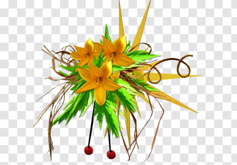 Floral Design Flower Clip Art - Explosion Transparent PNG