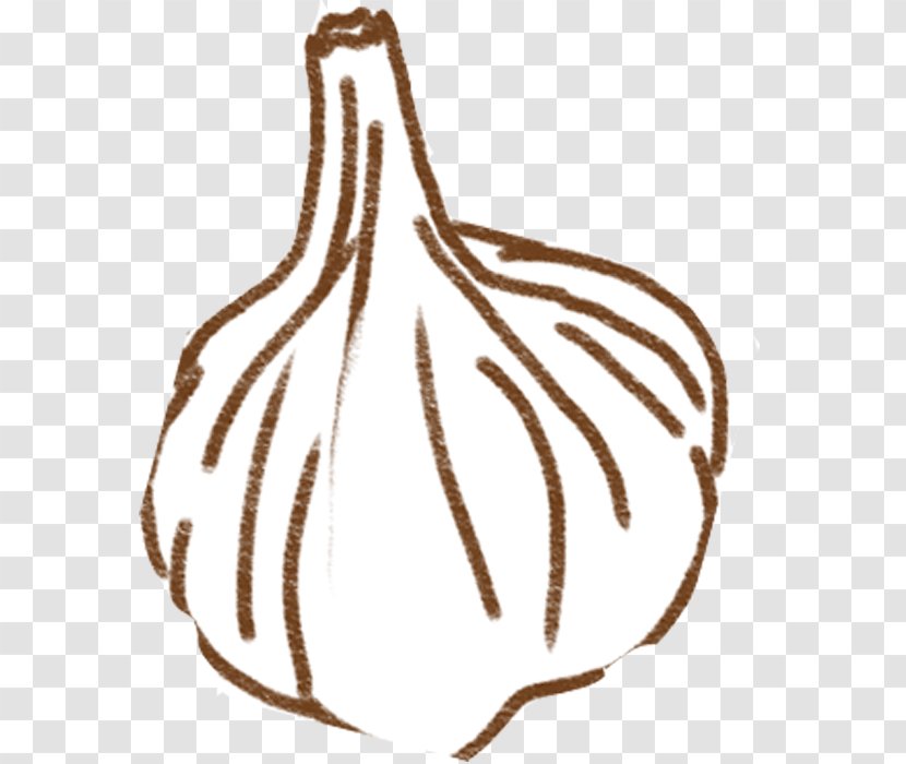 Garlic Clip Art - Carrot Transparent PNG