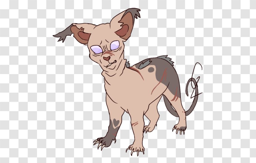Whiskers Kitten Sphynx Cat Warriors Paw - Watercolor Transparent PNG