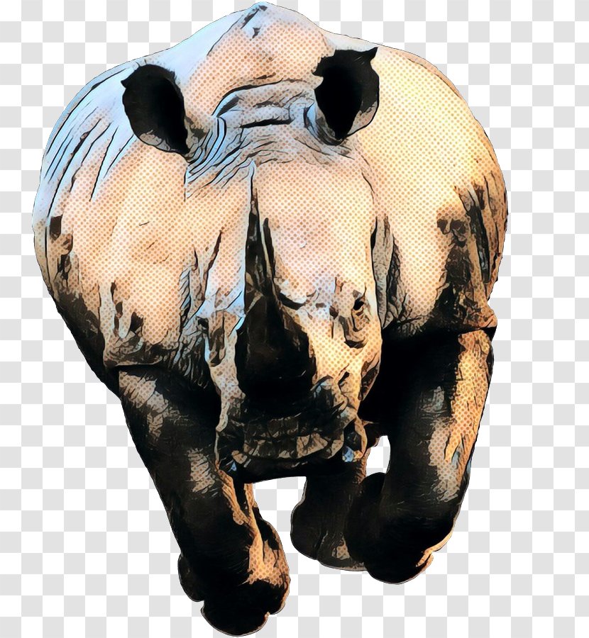 Rhinoceros Desktop Wallpaper Image Fauna Of Africa Animal Transparent PNG