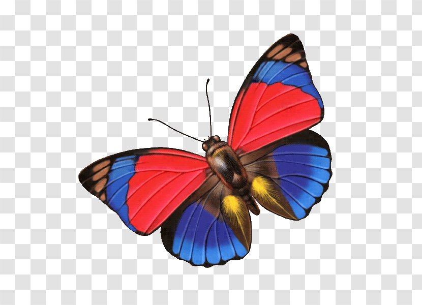 Monarch Butterfly Google Images Clip Art - Purple - Cartoon Transparent PNG