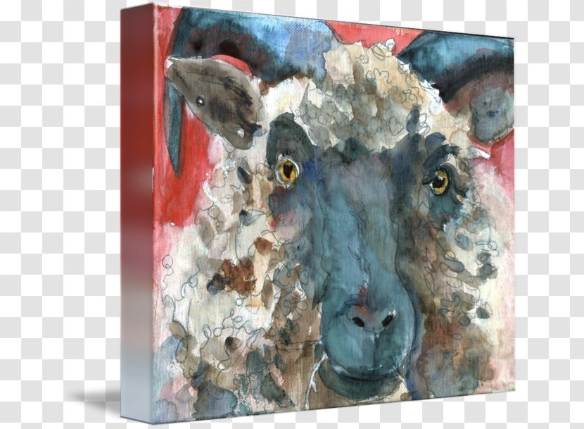 Sheep Watercolor Painting Gallery Wrap Printmaking - Cow Goat Family Transparent PNG