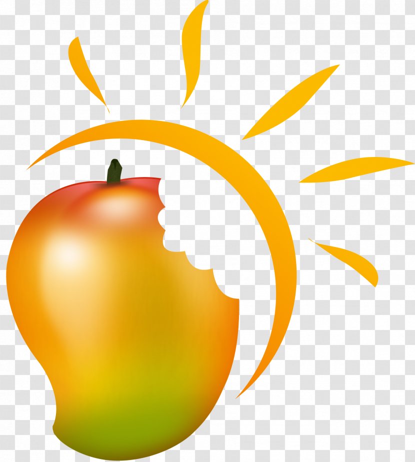 Mango Solar Power Industry Food Logo - Rooftop Photovoltaic Station - Manggo Transparent PNG