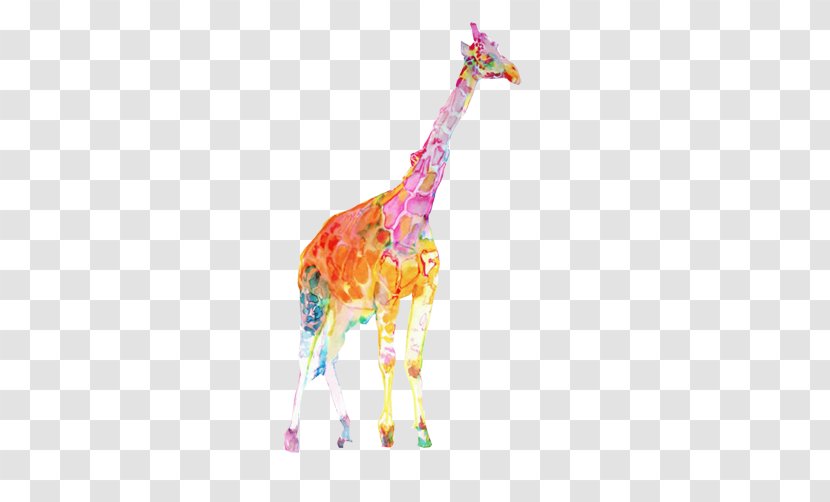 Colorful Giraffe Watercolor Painting Illustration - Color Clips Picture Transparent PNG