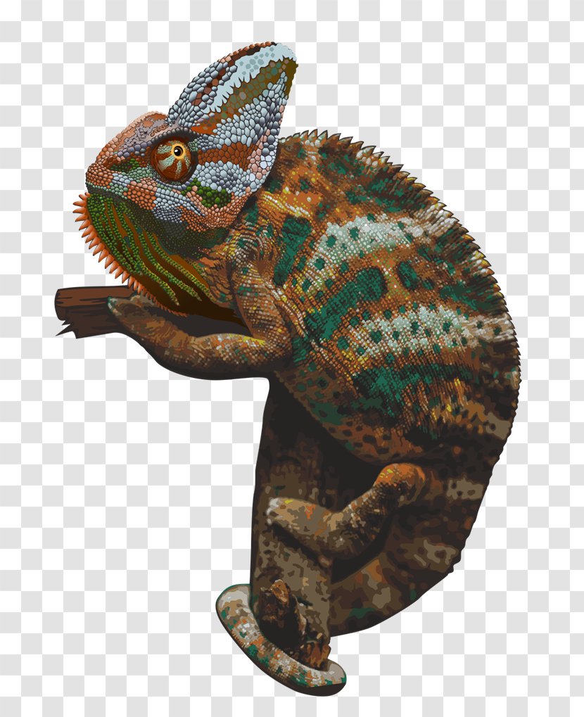 Chameleons Clip Art - Hyperlink - Chameleon Picture Transparent PNG